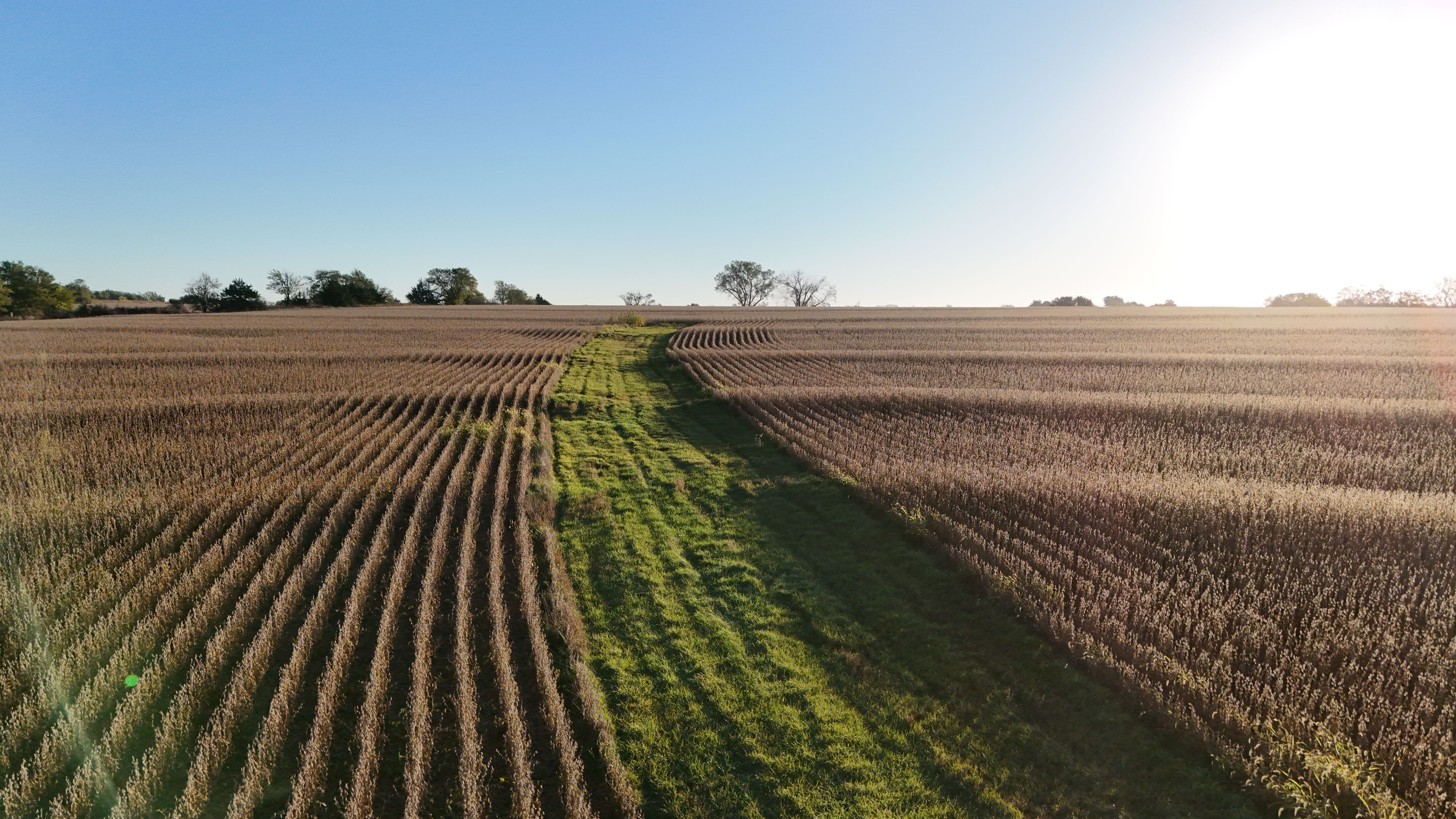 Listing Photo: lancaster-county-ne-125-acres (32)